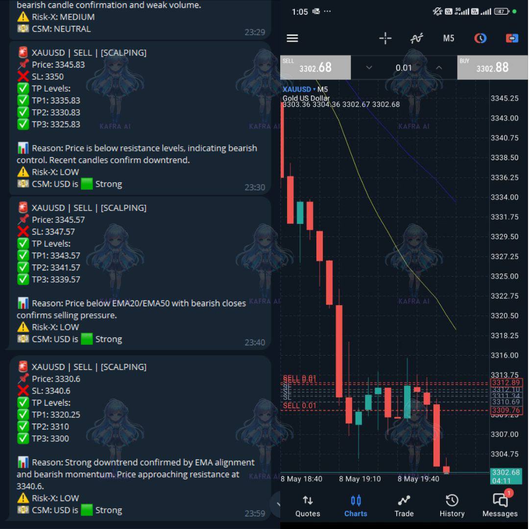 photo_2025-09-12_23-48-48