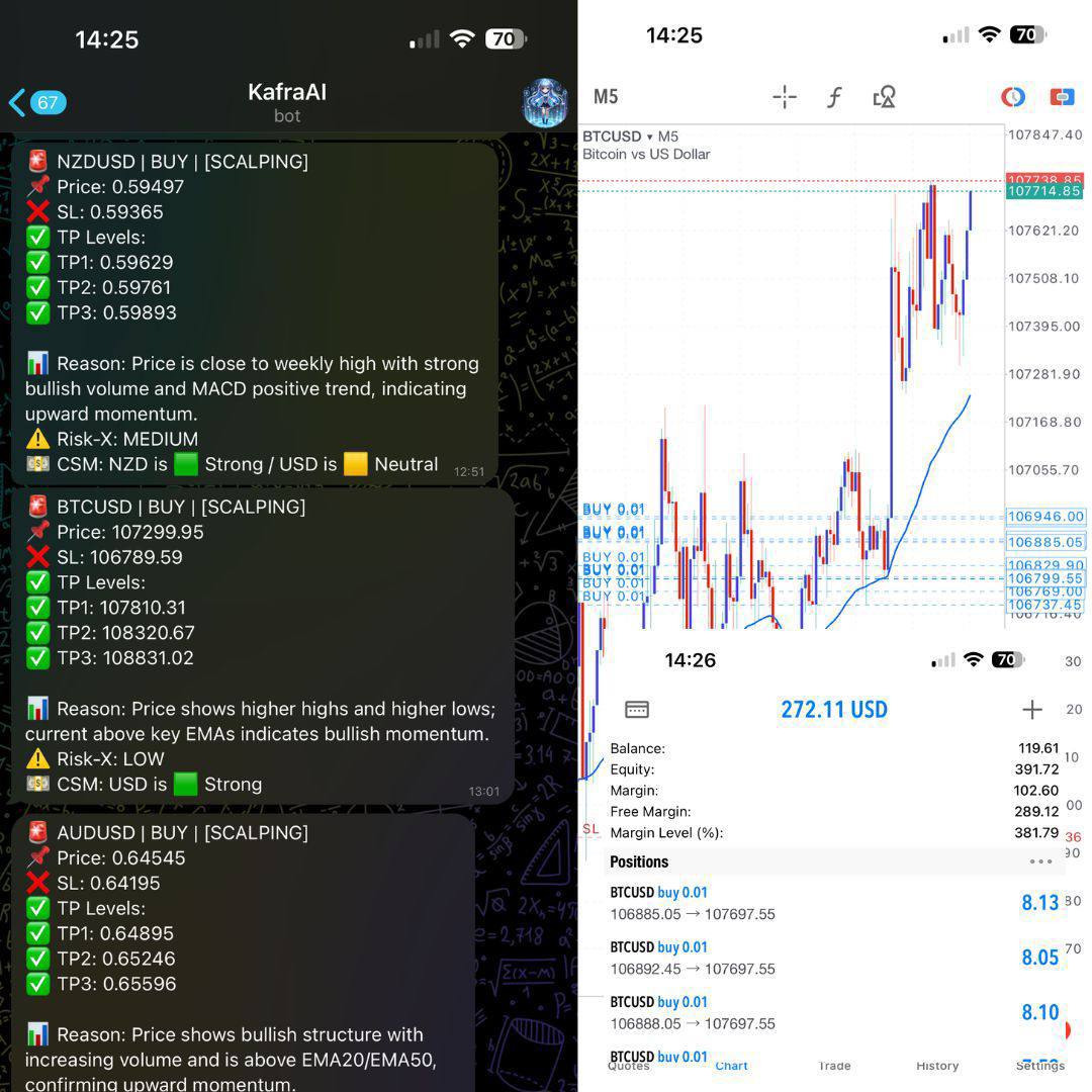 photo_2025-09-12_23-52-46